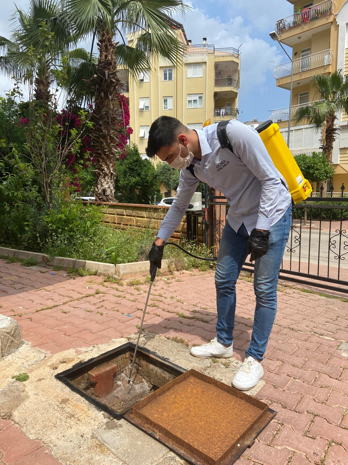 Antalya böceklerin kaynağını bulma